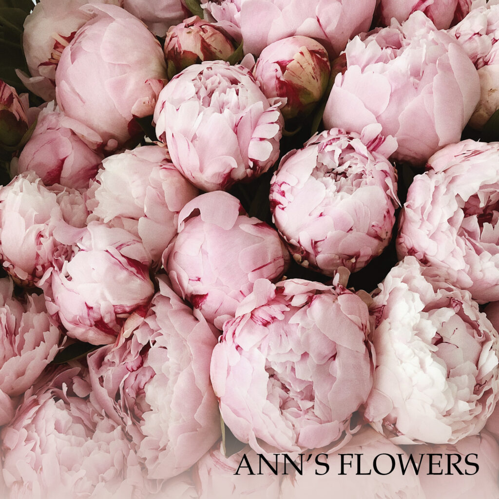 Anns Flowers
