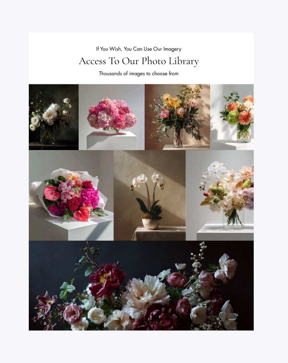 Access To Our Photo Library